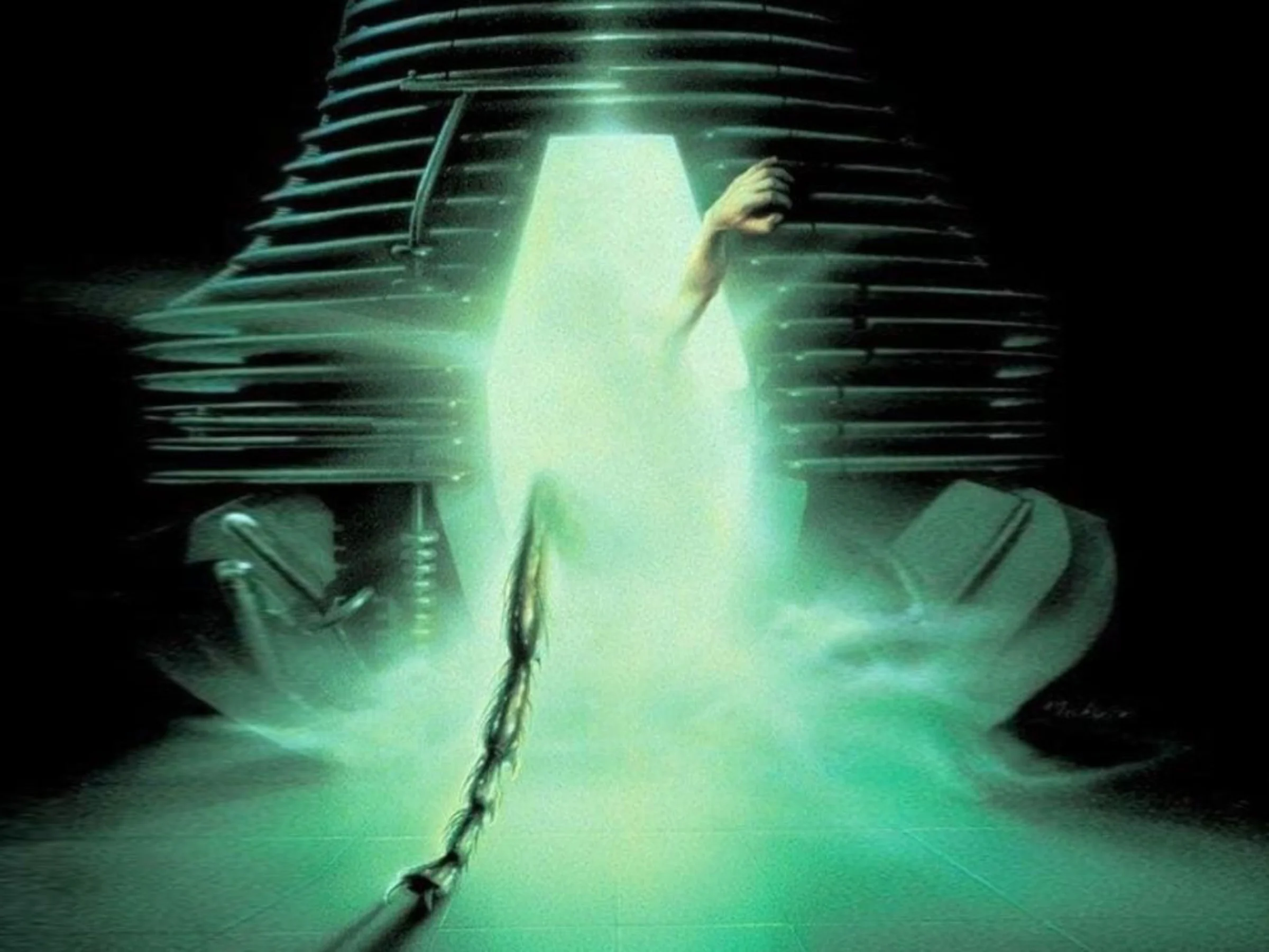 Zienema ♥ Halloween: The Fly