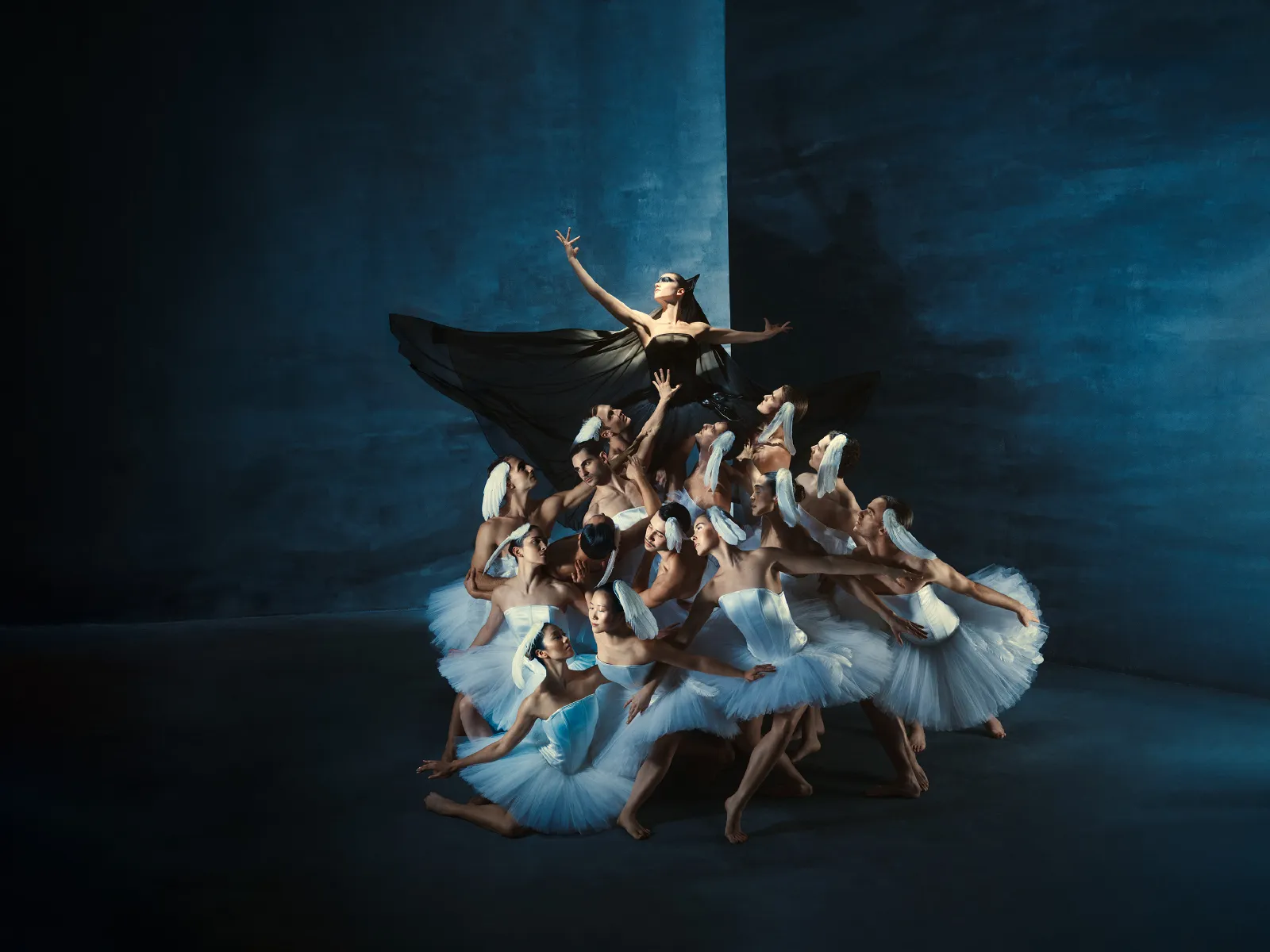 Swan Lake (6+) — Introdans