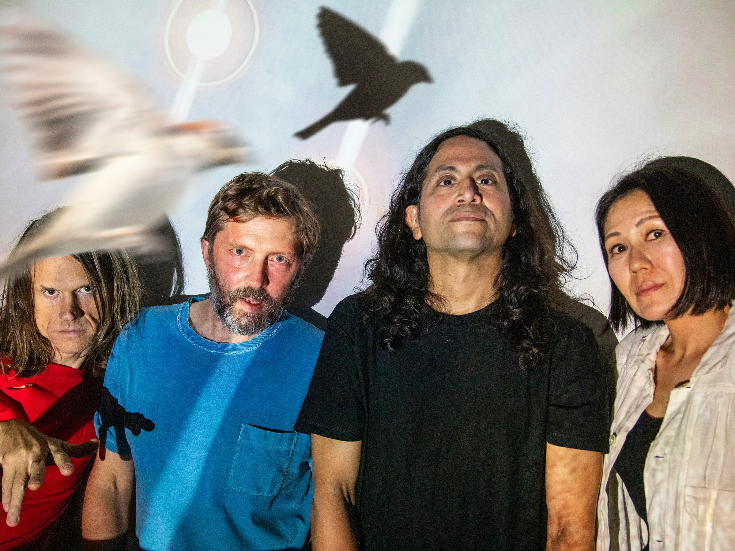 Deerhoof